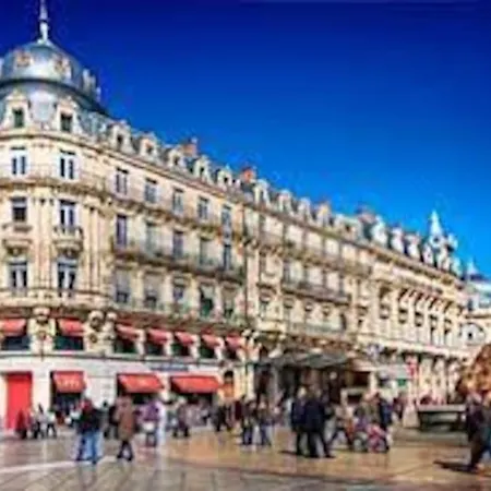 Le Dauphin 别墅