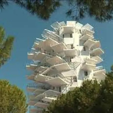 Le Dauphin * Montpellier