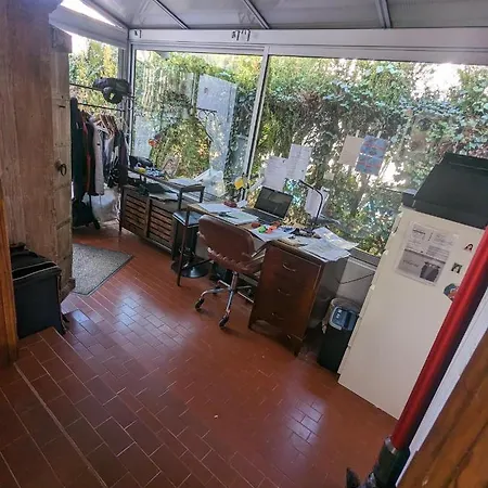 Le Dauphin مونبيلييه