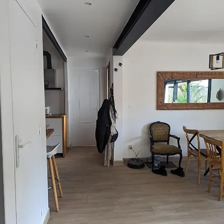 Le Dauphin فيلة *