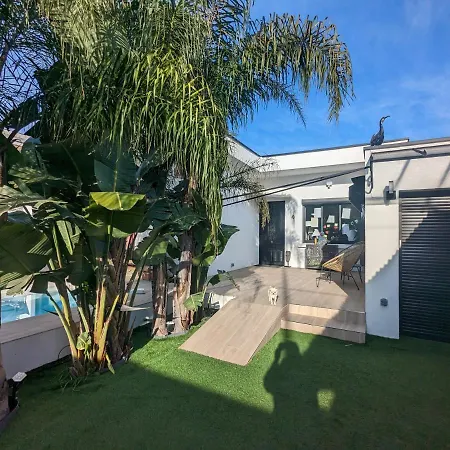 Le Dauphin * Montpellier