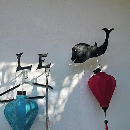 Le Dauphin Montpellier